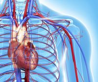 Choroby układu sercowo - naczyniowego